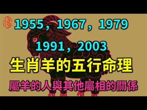 2003年屬羊|羊生肖：性格、愛情、健康、事業、五要素